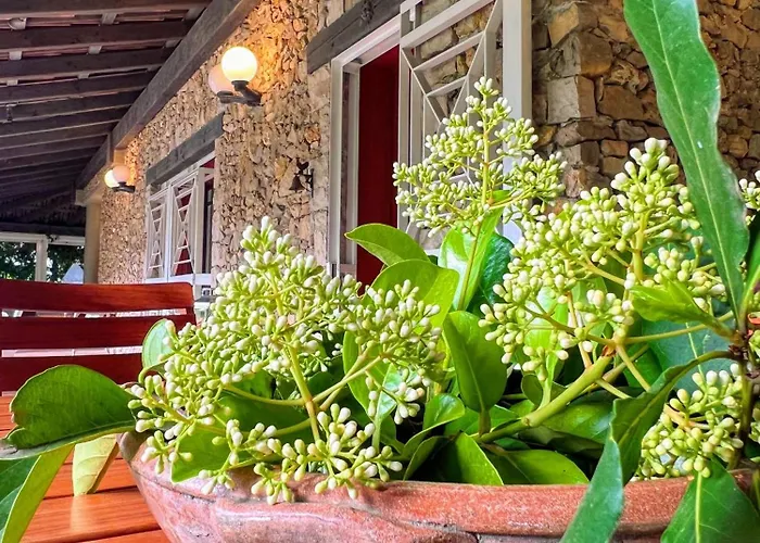 All'Ombra Del PalmetoBed and Breakfast